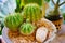 Different cactus plants in flowerpots on wooden table.