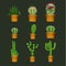 Different cactus types in flower pot realistic vector icons set