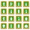 Different cactuses icons set green
