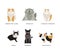 Different Cat Breed with American Curl, Persian, Turkish Angora, Manx, Bombay and Munchkin Vector Set