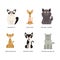 Different Cat Breed with Ragdoll, Sphynx, Maine Coon, Abyssinian, Devon Rex and Russian Blue Vector Set