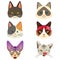 Different Cat Emoji Expression Illustration