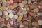 Different coins, money on the floor, euro, zloty, hryuna