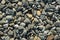 Different color beach stone pebbles at seashore outdoors top view.