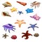 Different colored mollusks, shells and starfish. Marine underwater inhabitants. Big vector set on white background