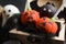 Different delicious Halloween themed cake pops, closeup