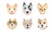 Different Dog Muzzle and Heads with Pointed Ears Vector Set