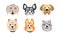 Different Dog Muzzle and Heads with Pointed Ears Vector Set