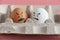 Different eggs with angry faces