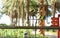 Different exotic birds in outdoor aviary, view through grate