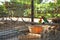 Different exotic birds in outdoor aviary, view through grate