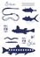 Different Fish Types. Dark blue vector silhouette image.