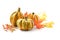 Different food pumpkins or squashes for Halloween or Thanksgiving and colorful autumn leaves, isolated on a white background with