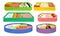 Different Food with Rice and Vegetables Served on Sectional Plate Vector Set