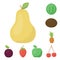 Different fruits cartoon icons in set collection for design. Fruits and vitamins vector symbol stock web illustration.
