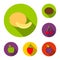 Different fruits flat icons in set collection for design. Fruits and vitamins vector symbol stock web illustration.