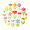 Different grades of flowers in a flat style. Vector illustration.
