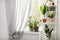 Different green potted plants near window