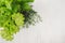 Different green sheaves greens for spring salad on white wooden background, top view.