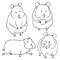 Different hamster sketches by free hand on white background. Vector hand drawn illustrations of line art of rodents