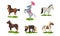 Different Horse Breeds Standing on the Ground Vector Set