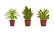 Different House Plants Collection, Potted Tropical Plants for Interior Home or Office Decor Flat Vector Illustration