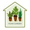 Different house plants with green leaves in pots. Home flowers.