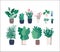 Different houseplants flat color vector objects set