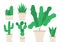Different houseplants flat color vector objects set. Decoration for home office. Flower in container. Variety of potted plants 2D