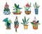 Different houseplants in hanging flowerpots and pots. Vector hand drawn outline color sketch illustration