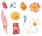 Different human cell types icon set. Medicine and biology illustrative symbol. Health, anatomy and science. Biology
