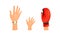 Different Human Right Hands with Palm Raised Up Vector Set