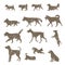 Different kinds of dog silhouette, stamp effect