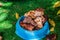 Different kinds of grilled meat pieces in dog food bowl