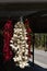 different kinds of hanging chili peppers and garlic, Apulia, Italy