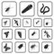 Different kinds of insects black icons in set collection for design. Insect arthropod vector isometric symbol stock web