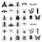 Different kinds of insects black icons in set collection for design. Insect arthropod vector symbol stock web