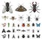 Different kinds of insects cartoon, black icons in set collection for design. Insect arthropod vector symbol stock web