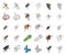 Different kinds of insects cartoon,outline icons in set collection for design. Insect arthropod vector isometric symbol
