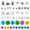 Different kinds of insects flat icons in set collection for design. Insect arthropod vector symbol stock web