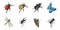 Different kinds of insects icons in set collection for design. Insect arthropod isometric vector symbol stock web