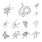 Different kinds of insects outline icons in set collection for design. Insect arthropod vector isometric symbol stock