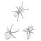 Different kinds of insects outline icons in set collection for design. Insect arthropod vector isometric symbol stock