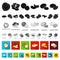 Different kinds of nuts flat icons in set collection for design.Nut Food vector symbol stock web illustration.