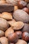 Different kinds of nuts in shell, hazelnut, walnut, almond and brazil nuts closeup, vertical