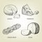 Different kinds of realistic cheese. Graphic vector collection.