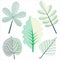 Different Leafs in Clip Art.