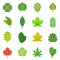 Different leafs icons set, cartoon style