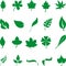 Different leaves in green, leaves collection, leaves icons, nature and wellness logo