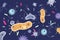 Different microbes bacterias microscopic world